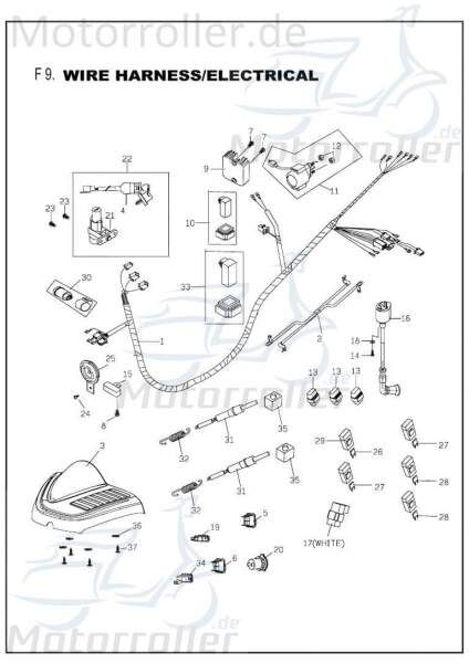 PGO Bugrider 200 Zündspule Zündung 200ccm 4Takt B55846000003 Motorroller.de Zündkabel Zündmodul Kerzenstecker Zünd-Kabel Zünd-Spule Kerzen-Stecker