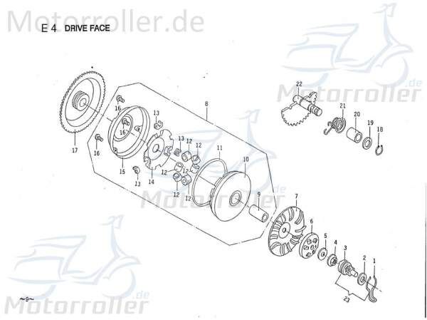 PGO Flehkraftrolle 1 Stück Gewichtsrolle Roller 50ccm 2Takt Motorroller.de PGO 50ccm-2Takt Scooter Galaxy 50 Comet 50 Ersatzteil Service Inpektion