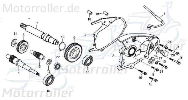 Zwischengetriebewelle 16 Zähne Tongjian Buggy 250ccm 4Takt Motorroller.de 250ccm-4Takt Strassenbuggy 250 I+II Ersatzteil Service Inspektion