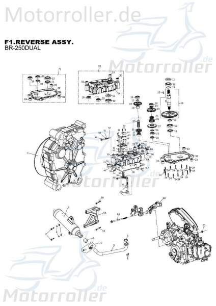 PGO Schalthebel Rückwärtsganggetriebe Schaltstab 250ccm 4Takt Motorroller.de PGO 250ccm-4Takt Buggy Bugrider 250 Ersatzteil Service Inpektion