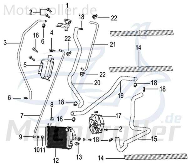 Kreidler Insignio 125 2.0 Schlauch 125ccm 4Takt 750174 Motorroller.de Kühlerausgang Gummischlauch Leitung Zuleitung Plastikschlauch Ableitung Scooter