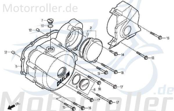 Dichtung Lichtmaschinendeckel DAE-11395-BA7-0001-EU