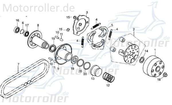 Kupplungsbelag Tongjian Strassenbuggy 250 I+II 250ccm 4Takt Motorroller.de Kupplungsbeläge Kupplungsbacke 250ccm-4Takt Ersatzteil Service Inpektion