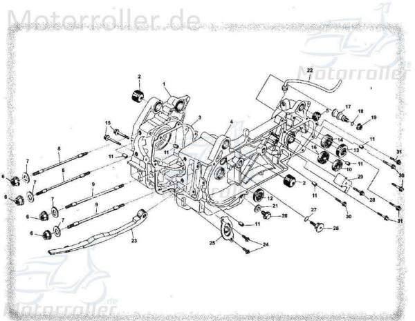 Bundschraube M6x50mm Tongjian Maschinenschraube 150ccm 4Takt Motorroller.de Flanschschraube Flansch-Schraube Maschinen-Schraube Bund-Schraube Buggy