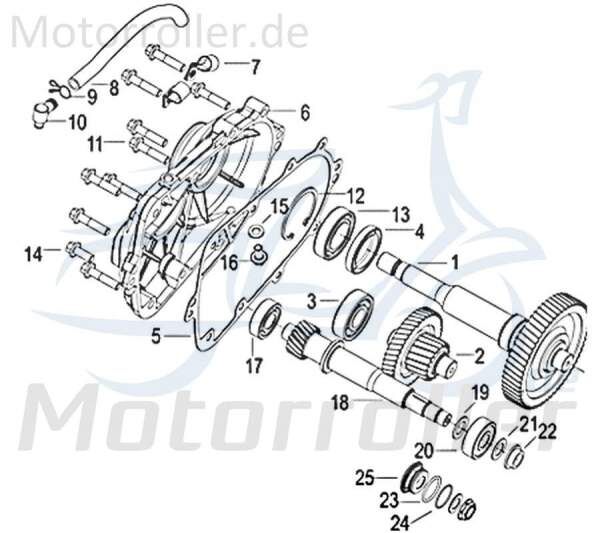 Jonway Insignio 250 DD Anlaufscheibe 250ccm 4Takt 750562 Motorroller.de Durchmesser 14mm Spannscheibe Zwischenscheibe Anlauf-Scheibe Spann-Scheibe