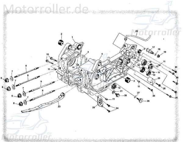 Bundschraube M6x14mm Tongjian Maschinenschraube 150ccm 4Takt Motorroller.de Flanschschraube Flansch-Schraube Maschinen-Schraube Bund-Schraube Buggy