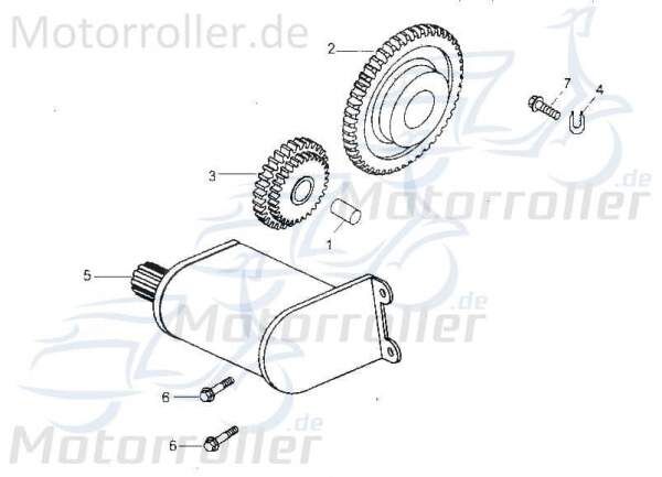 Getriebestift Tongjian Strassenbuggy 250 Sport / 250ccm 4Takt Motorroller.de Achse Doppelzahnrad 250ccm-4Takt Straßenbuggy 250 Ersatzteil Service