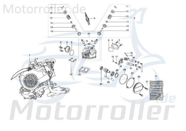 Kreidler STAR Deluxe 4S 200 Ventilfeder 200ccm 4Takt C-4781257 Motorroller.de Spiralfeder Druck-Feder Spiral-Feder Springfeder Kompressionsfeder LML