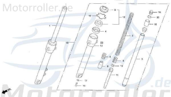 Gabelbein links NS/Ot.99/00 DAE-51500-SA1-0100-EU