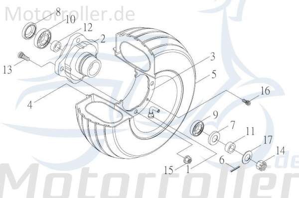 Kreidler F-Kart 170 Kugellager Wälzlager 170ccm 4Takt 75896 Motorroller.de Rillenkugellager Nadellager Rollenlager Kugel-Lager Wellenlager Radiallager