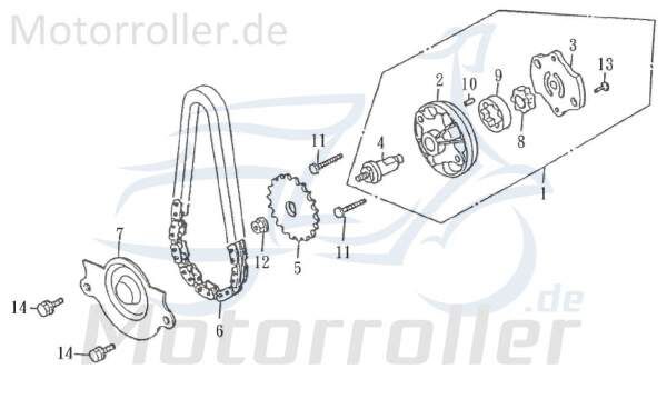 Kreidler F-Kart 170 Ritzel Zahnrad 170ccm 4Takt 13142-KAI-00 Motorroller.de Ölpumpe außen Steuerrad Ketten-Rad Zwischenrad Steuer-Rad Zahn-Rad Service