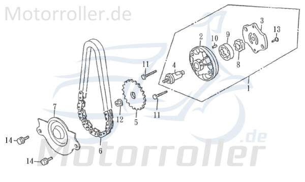 Kreidler F-Kart 170 Ritzel Zahnrad 170ccm 4Takt 13141-KAI-00 Motorroller.de Ölpumpe innen Steuerrad Ketten-Rad Zwischenrad Steuer-Rad Zahn-Rad Service