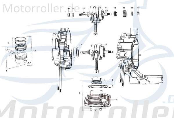 Kugellager Rex 720996 Motorroller.de