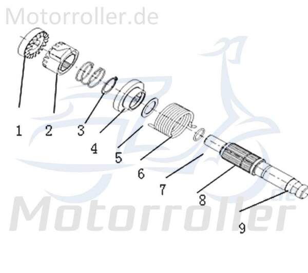 Federsitz Kreidler DICE SM 50 LC Federanschluss 50ccm 733098 Motorroller.de Sekundärer 50ccm-2Takt Motorrad Supermoto 50 DD Ersatzteil Service