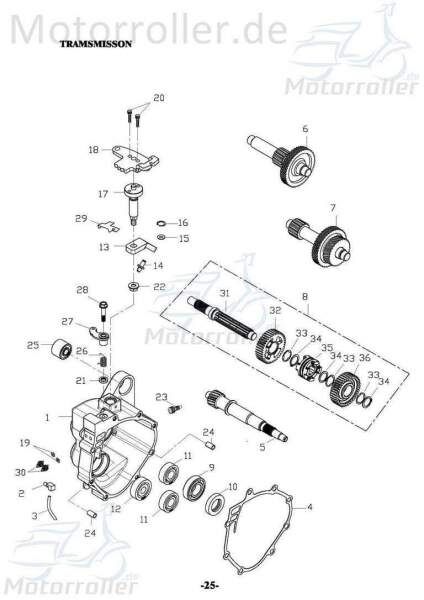 Adly Simmering 30x47x7mm GK 125 Simmerring Buggy 125ccm 4Takt Motorroller.de Wellendichtring Abdichtring Dichtringe Radialdichtring Öldichtring