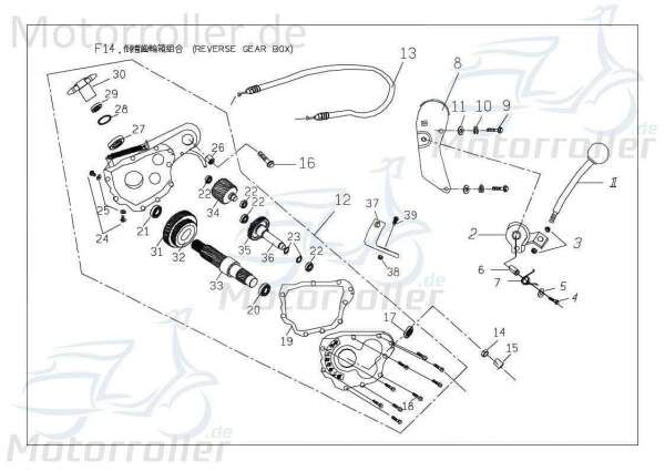 PGO Getrieberad 18 Zähne Mittiger Rückwärtsgang 150ccm 4Takt Motorroller.de Zwischenrad Zahnrad Zahn-Rad Getriebe-Rad Zwischen-Rad Getriebezahnrad ATV