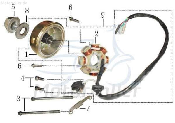 PGO Bundschraube M6x28mm Star 50 Flanschschraube 50ccm 2Takt Motorroller.de Maschinenschraube Flansch-Schraube Maschinen-Schraube Bund-Schraube