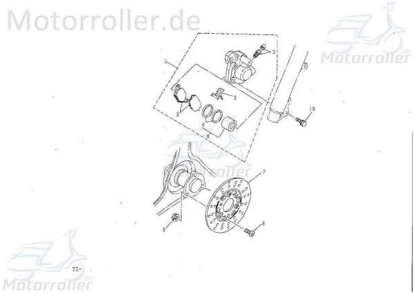 Bundschraube M8x34mm Rex Maschinenschraube Roller 50ccm 2Takt Motorroller.de Flanschschraube Flansch-Schraube Maschinen-Schraube Bund-Schraube Scooter