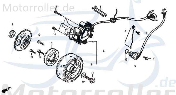 Lichtmaschine Daelim VL /VL Classic Daystar 125ccm 4Takt Motorroller.de Stator Ankerplatte Anker-Platte Stromerzeuger Strom-Generator Licht-Maschine