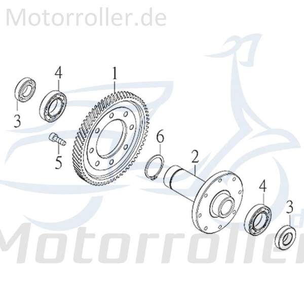 Kreidler F-Kart 170 Differenzialsperre 170ccm 4Takt 76000 Motorroller.de 170ccm-4Takt Ersatzteil Service Inpektion Direktimport