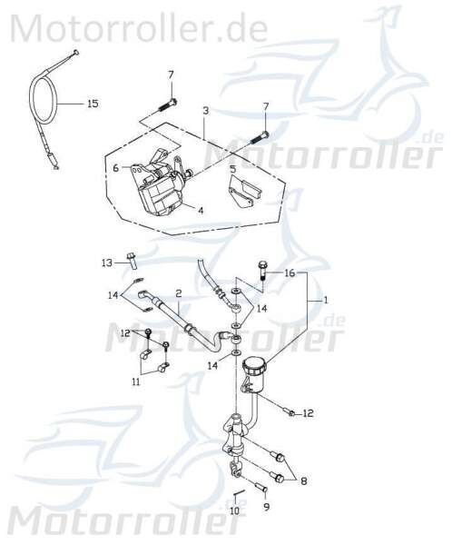 Adly Bolzen ATV 300 Crossroad Sentinel Zapfen 272ccm 4Takt Motorroller.de Stehbolzen Gewindebolzen Gewindestift Arretierbolzen Stiftschraube Quad UTV