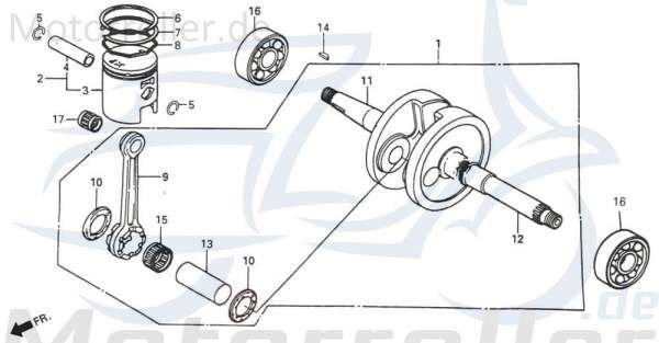 Daelim Message 50 Kolben-Set 50ccm 2Takt 1310C-SC1-1000 Motorroller.de Piston Kit Satz Kolbensatz 50ccm-2Takt Scooter Tapo 50 Ersatzteil Service