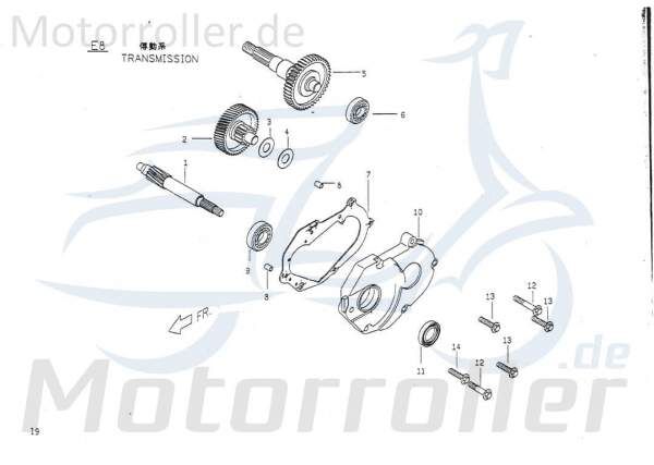 PGO Kupplungswelle Big Max 50 Antriebswelle 50ccm 2Takt Motorroller.de Getriebewelle PGO P1 50ccm-2Takt Scooter Tornado 50 Ersatzteil Service