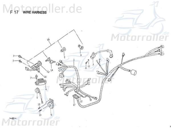 PGO Sicherung WerkzeuGBox Galaxy 50 Absicherung 50ccm 2Takt Motorroller.de Schmelzsicherung Stromsicherung Überlastsicherung PGO 50ccm-2Takt Scooter