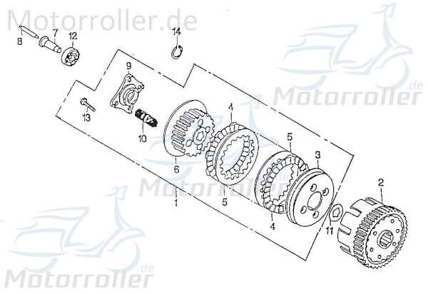 Kupplungslamelle 5 Stück Rex Chopper 125 125ccm 4Takt Motorroller.de 125ccm-4Takt Motorrad Moped Ersatzteil Service Inpektion Direktimport