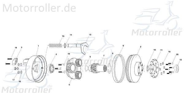 Tongjian O-Ringe (groß) Dichtung 7.020.017