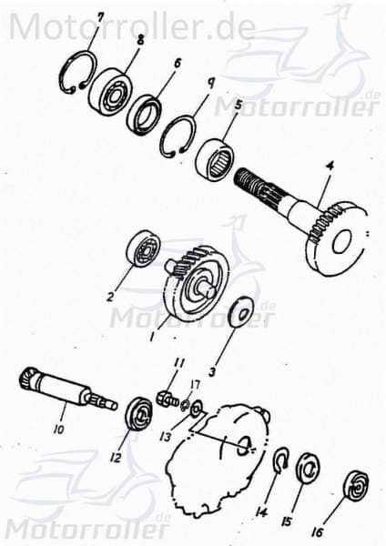 Adly Unterlegscheibe 12.3x29x0.5mm Distanzscheibe 50ccm 2Takt Motorroller.de Distanzhalter U-Scheibe Washer Beilagscheibe Ausgleichsscheibe Scooter