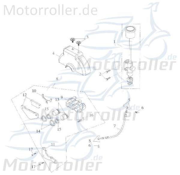 Adly Bremsscheibendeckel vorn GK 125 Buggy 125ccm 4Takt Motorroller.de 125ccm-4Takt Ersatzteil Service Inpektion Direktimport