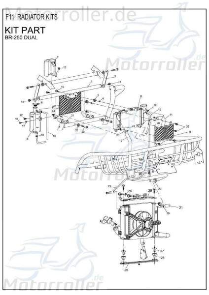 PGO Gummipolster Bugrider 250 Buggy B77014500000 Motorroller.de Ersatzteil Service Inpektion Direktimport