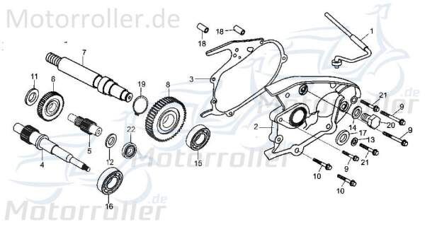 Bundschraube M8x36mm Tongjian Maschinenschraube 250ccm 4Takt Motorroller.de Flanschschraube Flansch-Schraube Maschinen-Schraube Bund-Schraube Buggy