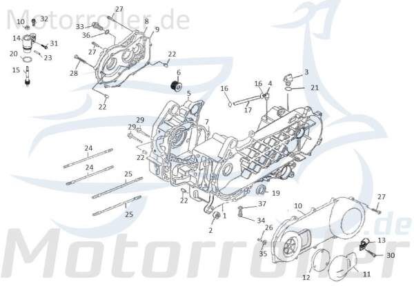 Kabelhalter Kreidler F-Kart 170 Kabelklemme Clip 170ccm 81346 Motorroller.de Halteklammer Kabel-Halter Kabelhalterung Kabelclip Kabelklammer Halteclip