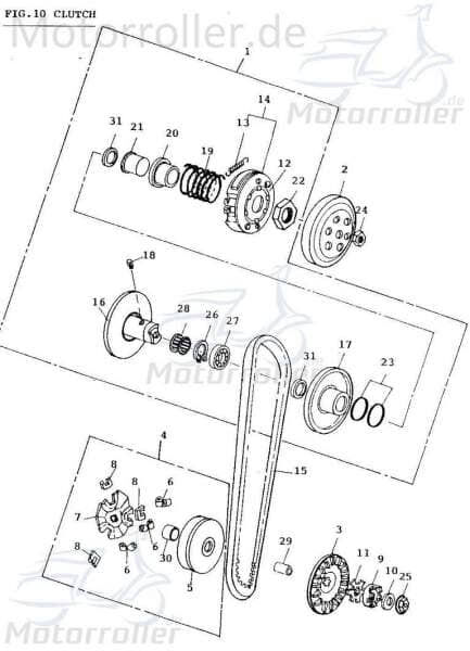 Adly Dichtung Ventilschaft 36x2mm Dichtungsring 50ccm 2Takt Motorroller.de Ventilschaftdichtung Ventilschaftabdichtung Ventildichtung Dichtung-Ventil