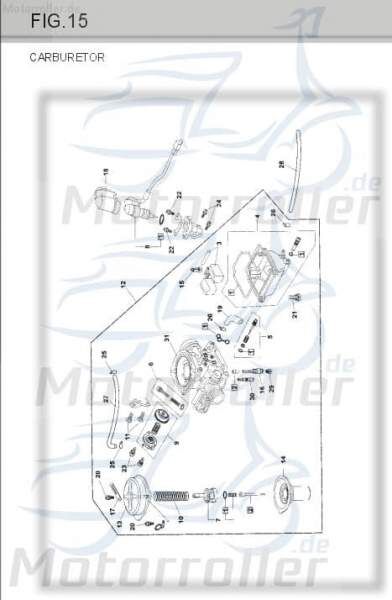 Clip B8 Tongjian Strassenbuggy 150 III Klemme 150ccm 4Takt Motorroller.de Klammer Schelle Klemmschelle Befestigungsschelle Halteklammer Schraubschelle