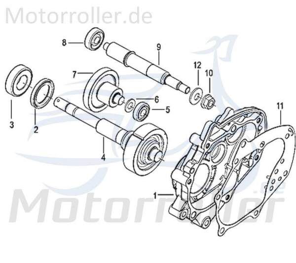 Kreidler Insignio 125 2.0 Simmerring 125ccm 4Takt 750045 Motorroller.de 40x55x7mm Radialdichtring Simmering Wellendichtring Abdichtring Dichtringe