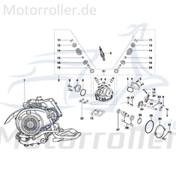 Kreidler STAR Deluxe 4S 125 Ventilfeder 125ccm 4Takt 720040 Motorroller.de Spiralfeder Druck-Feder Spiral-Feder Springfeder Kompressionsfeder Scooter