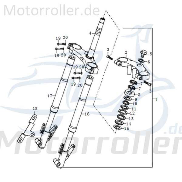 Qingqi STREET 125 DD Simmerringsatz Gabel 125ccm 4Takt 91509 Motorroller.de Simmering Wellendichtring Abdichtring Dichtringe Radialdichtring Scooter