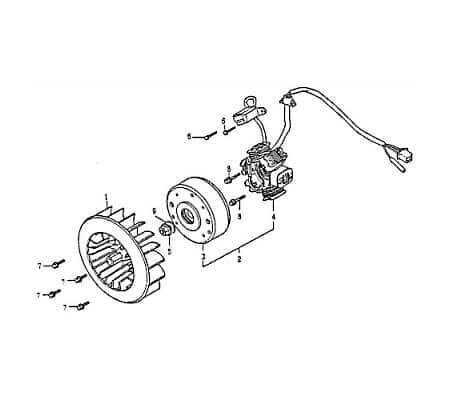 Lichtmaschine Stator für Generator Rex RS125 83036 Motorroller.de Ankerplatte Zündplatte Zündgrundplatte Lichtmaschinenspulen Generatorplatte