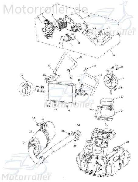 Buchse Kühler Tongjian Strassenbuggy 250 Sport 250ccm 4Takt Motorroller.de Hülse Distanzhülse Lagerbuchse Distanz-Hülse Distanzbuchse Passhülse