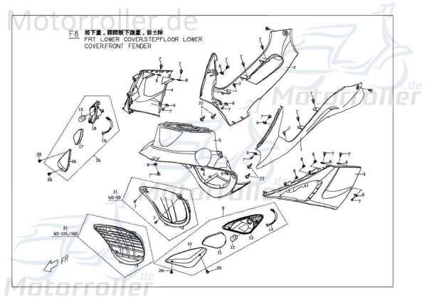 PGO Blinker links vorn G-Max 50 Signalleuchte 50ccm 2Takt Motorroller.de Blinklicht Blinkleuchte Fahrtrichtungsanzeiger Blinkleuchten Blinkerleuchte