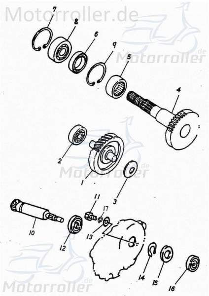 Adly RT 50 Road Trace Getriebezahnrad 50ccm 2Takt 23420-116-0C0 Motorroller.de 48/12 Zähne Ritzel Getrieberitzel Getriebezwischenrad Getriebrad Moped