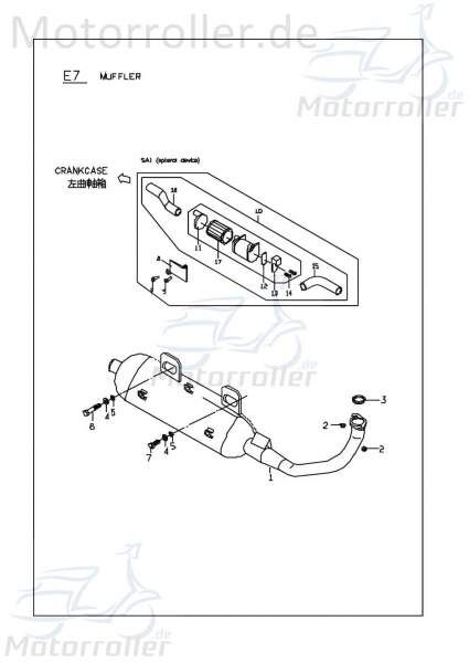 PGO Bundschraube M8x40mm T-Rex 50 Flanschschraube 50ccm 2Takt Motorroller.de Maschinenschraube Flansch-Schraube Maschinen-Schraube Bund-Schraube