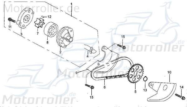 Kettenrad / Antriebsrad Rotor innen Ölpumpe 250ccm 4Takt Motorroller.de Ritzel Ketten-Rad Zahn-Rad Antriebs-Rad 250ccm-4Takt Buggy Tongjian Ersatzteil