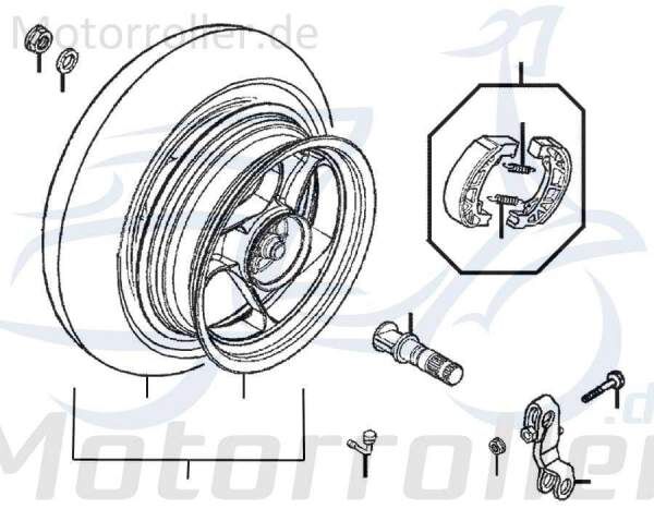 Rex RS250 Spannfeder Zugfeder Spiralfeder 50ccm 2Takt 87373 Motorroller.de Haltefeder 50ccm-2Takt Scooter Jonway RMC-G 50 Ersatzteil Service