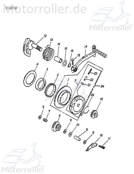 Adly Nadellager 55x59x12.5mm Rollenlager Quad ATV 50ccm 2Takt Motorroller.de Rollen-Lager Walzenlager Kolbenbolzenlager Nadel-Lager Minarelli liegend