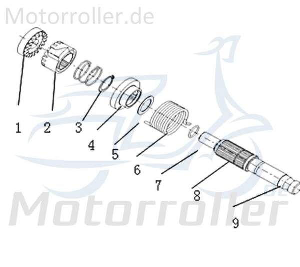 Zahnrad Kickstarter 50ccm 2Takt Kreidler Supermoto 50 DD 733095 Motorroller.de Ritzel Motorrad