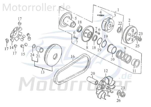 Kreidler F-Kart 170 Fliehkraftrollen 170ccm 4Takt 76009 Motorroller.de Vario-Rollen Variomatik-Gewichte Variorollen Variogewichte Vario-Gewichte